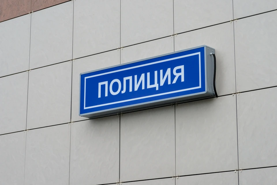 Новосибирские полицейские выслали из РФ иностранца с судимостью.
