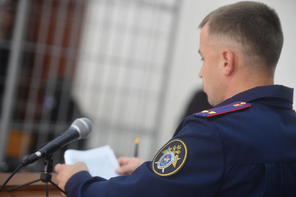Глава СК требует срочного доклада по делу о пропаже ребенка.