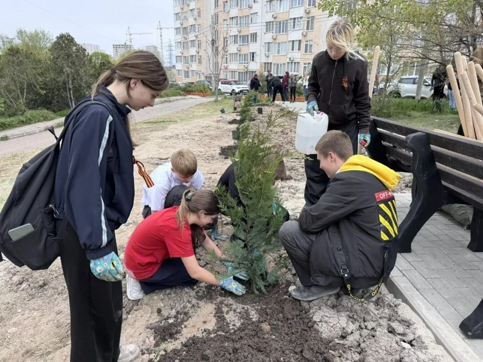 Сегодня благоустройством этих мест занимаются внуки тех, кто когда-то возводил данный микрорайон. Фото: sev.gov.ru