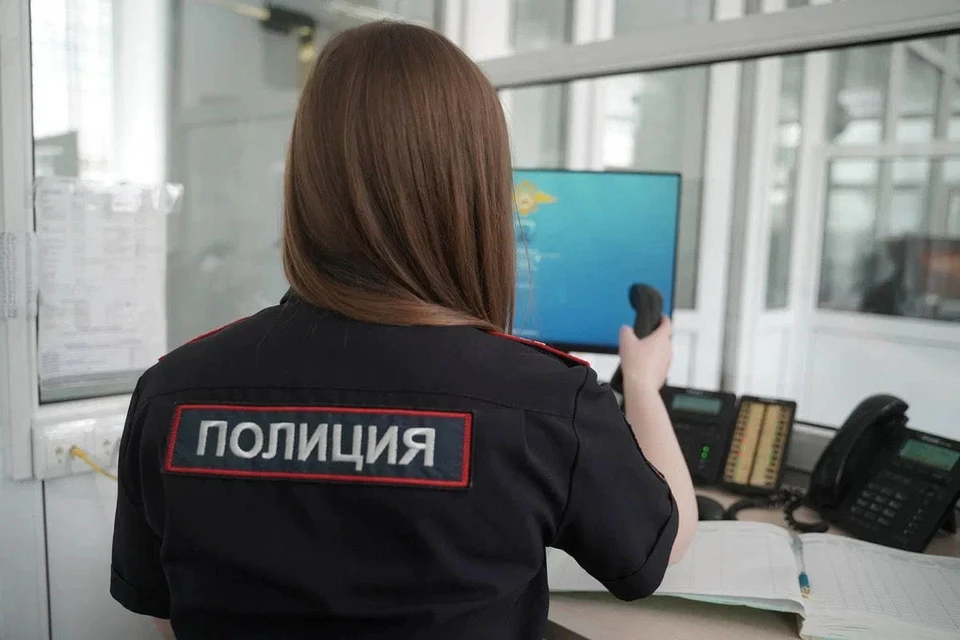 Теперь попытка легкого заработка обернулась для сельчанки серьезными проблемами с законом