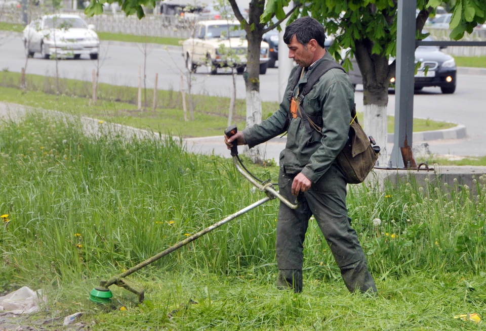 Глава Ульяновска велел с 12 мая начать косить в городе траву