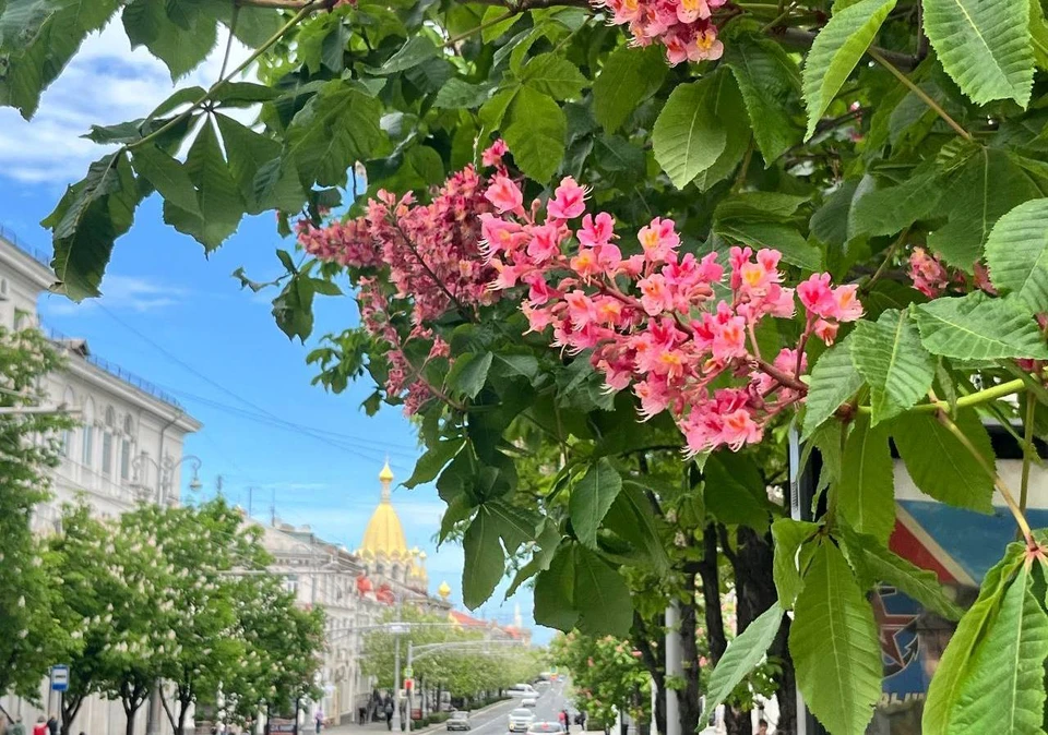 Погода радует. Фото: архив «КП»