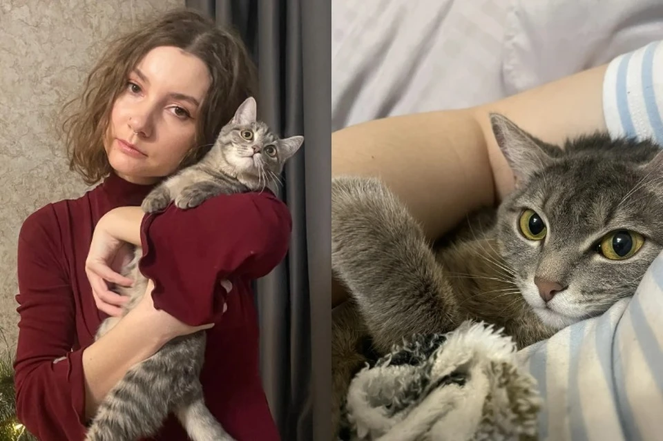 Кошка Груня любит обнимашки.