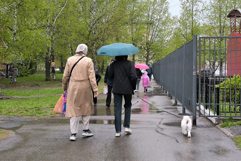 Зонтики на этой неделе — обязательный аксессуар