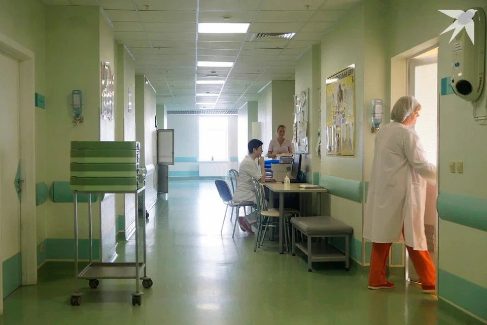 Врачи оценили состояние девочки, на которую напали бродячие собаки в Гомеле. Снимок носит иллюстративный характер.