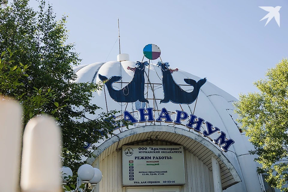 Океанариум в Мурманске закрыт с 1 января 2022 года из-за отсутствия лицензии, которую не смог продлить из-за изменившегося законодательства.