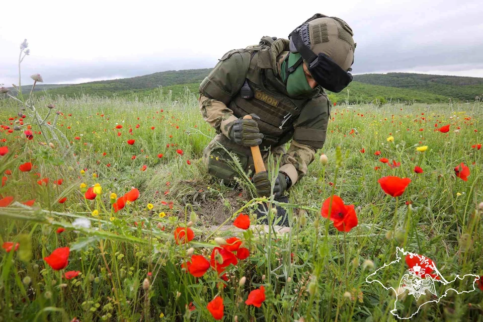 Находки будут обезврежены. Фото: 82.rosguard.gov.ru