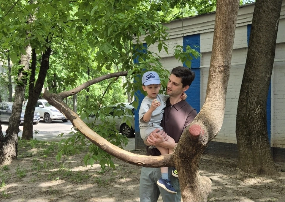 Москвичи приезжают на Университетский проспект, чтобы сфотографироваться с кривым кленом.