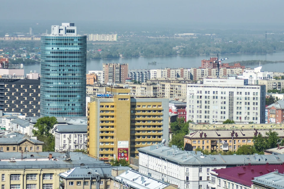 В Новосибирске заметили стрижей.