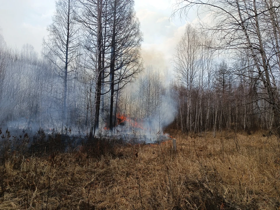 В Ростовской области сбили более 30 БПЛА, возникло два пожара