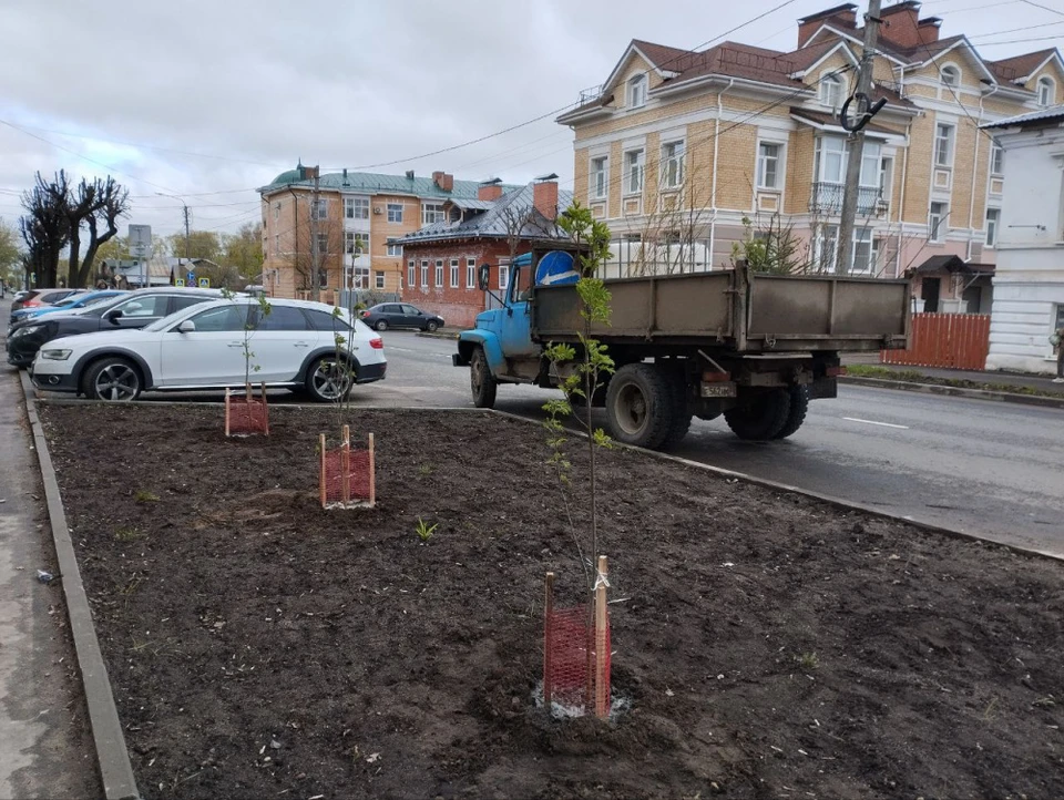 Источник: grad.kostroma.gov.ru