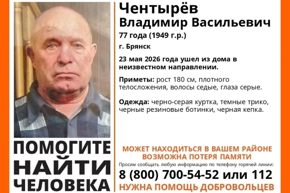 Фото: поисковый отряд "Лиза Алерт", ВКонтакте.