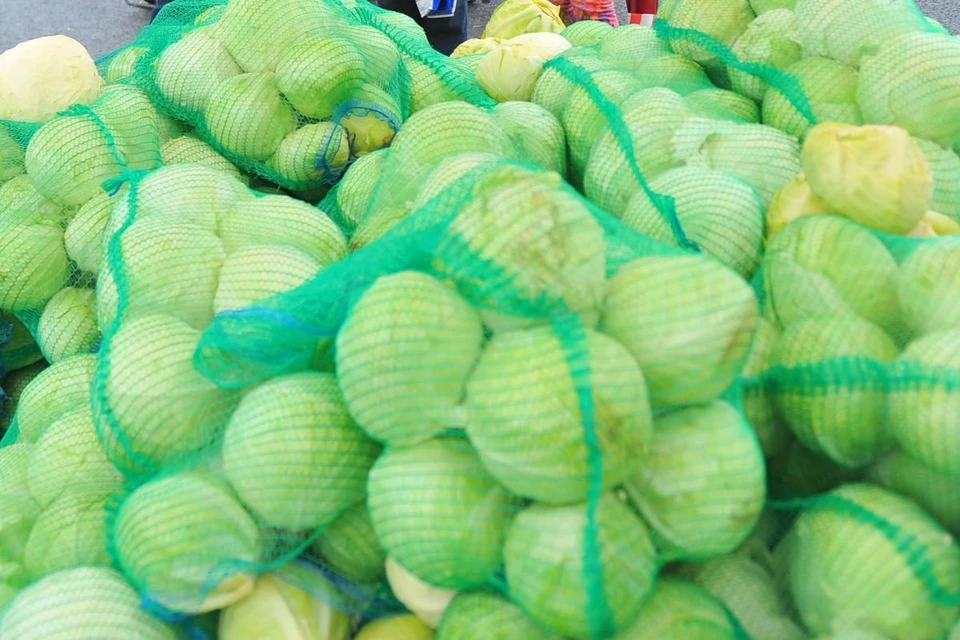 Зараженная партия продукции была направлена на проведение карантинного фитосанитарного обеззараживания