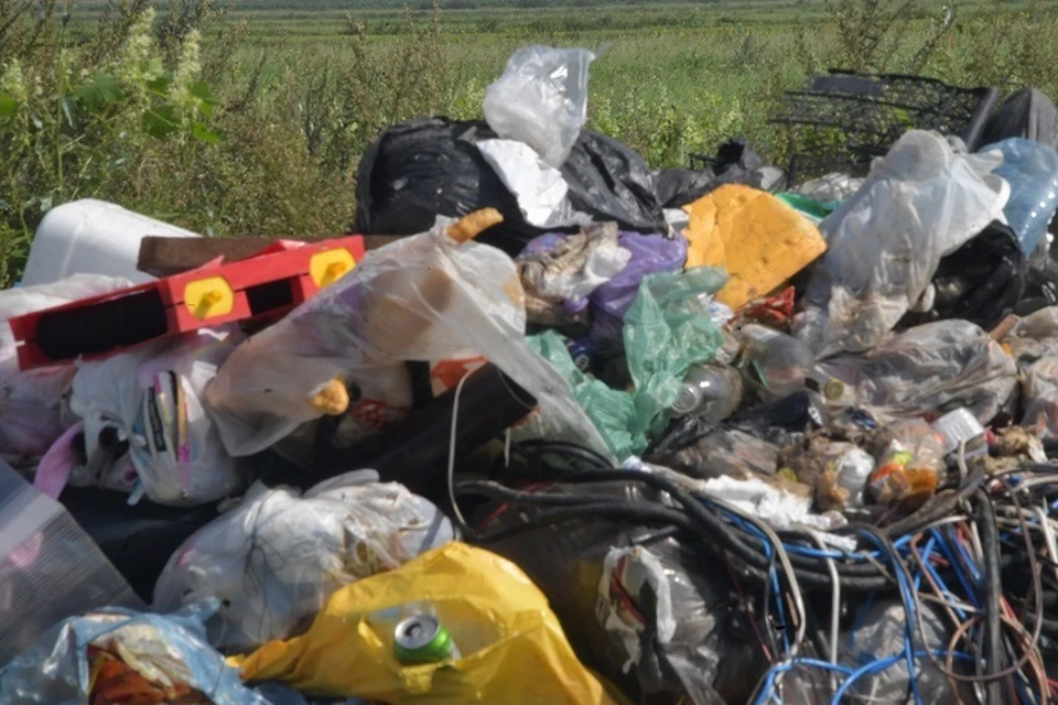 Больше тонны мусора вывезли после экологических акций во Владивостоке