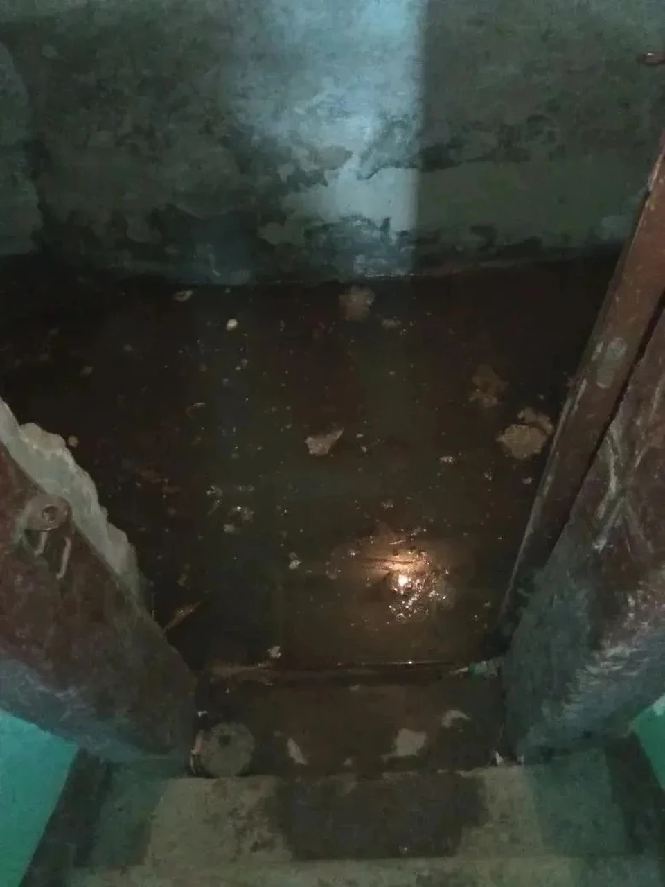 В подвалах стоит вода из канализации