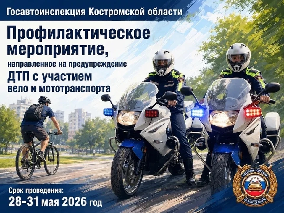Фото: пресс-служба Госавтоинспекции УМВД России по Костромской области