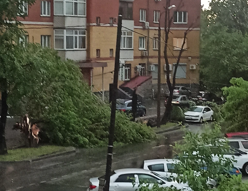 Фото: ЧС Тюмень, ВК.