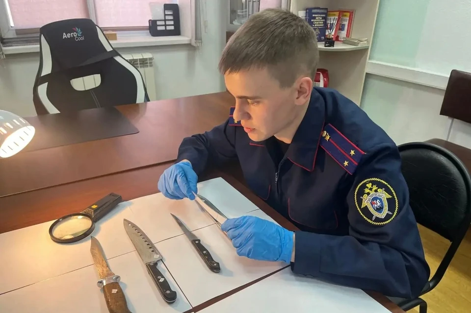 Следователи завели уголовное дело, женщину заключили под стражу.