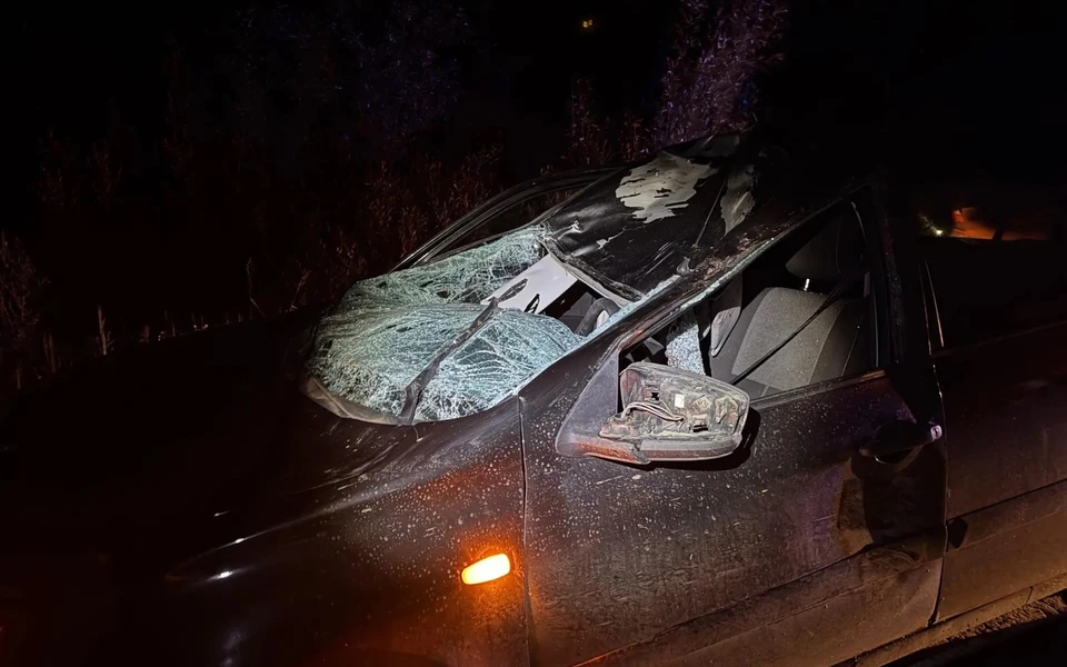 Пострадали водитель и пассажирка автомобиля.