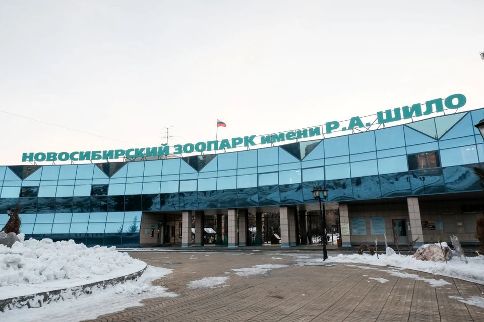 Съемочная группа из Южной Африки посетила город во время большого путешествия по России