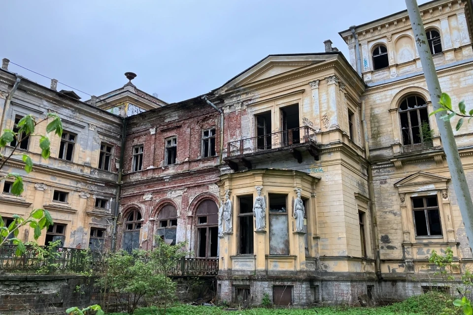 Дворец пустует уже несколько десятков лет. Фото: КГИОП