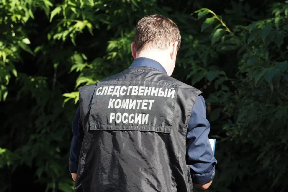Следствие продолжается. Фото: СУ СК России по Новосибирской области