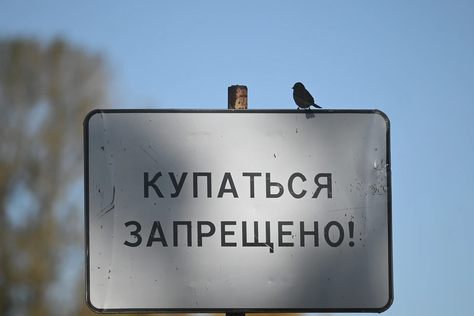 Несмотря на запрет девочки все же решили поплавать по озеру.
