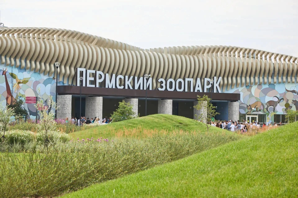 Площадь нового зоопарка в 16 раз больше старого.