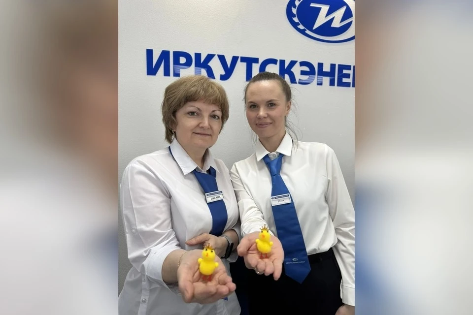 Трогательный сюрприз — игрушечные цыплята для сотрудников фронт-офиса Ангарского отделения «Иркутскэнергосбыта». Фото: предоставлено пресс-службой «Иркутскэнергосбыт»