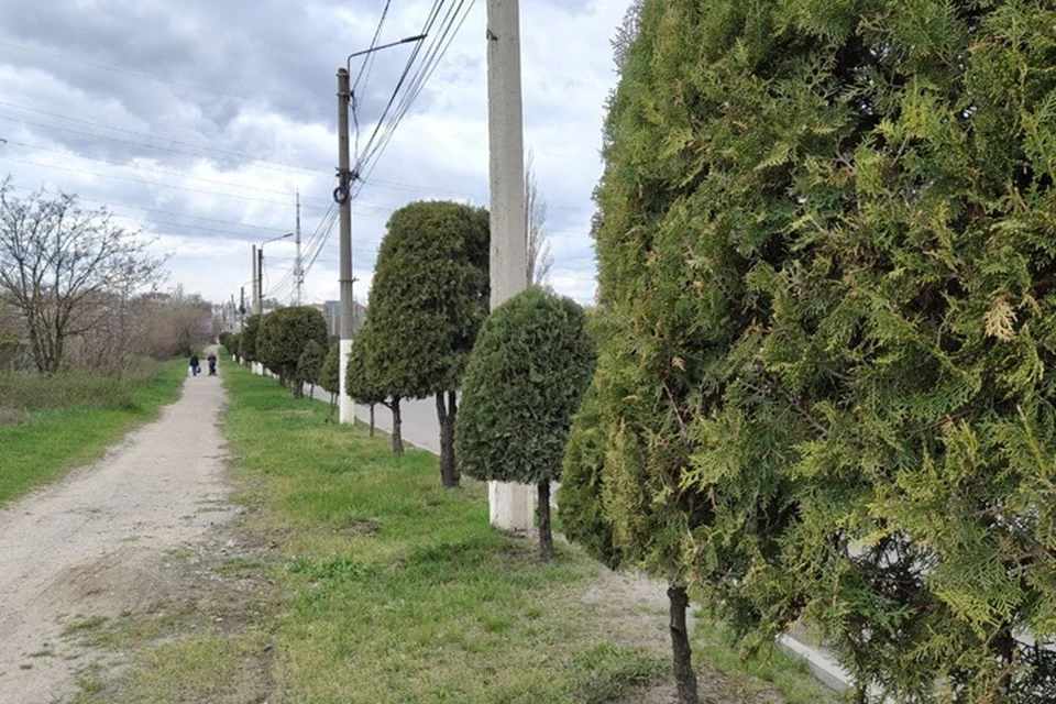 В четверг, 11 июня, в Запорожской области небо будет плотно затянуто облаками