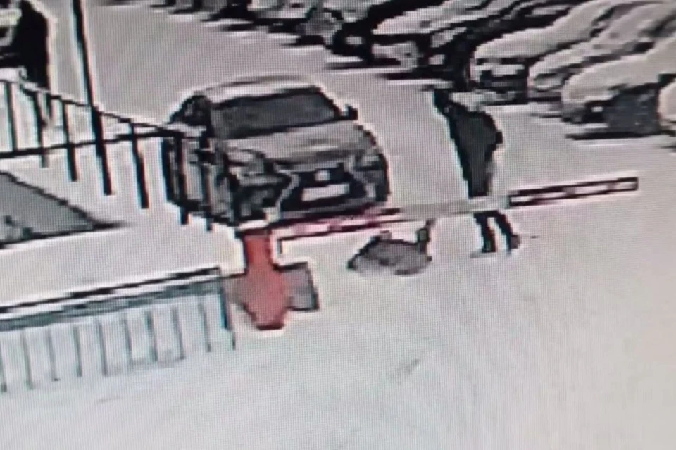 Инцидент произошел еще в декабре прошлого года. Фото: скриншот видео