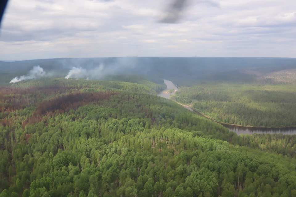 Фото: Лесопожарный центр