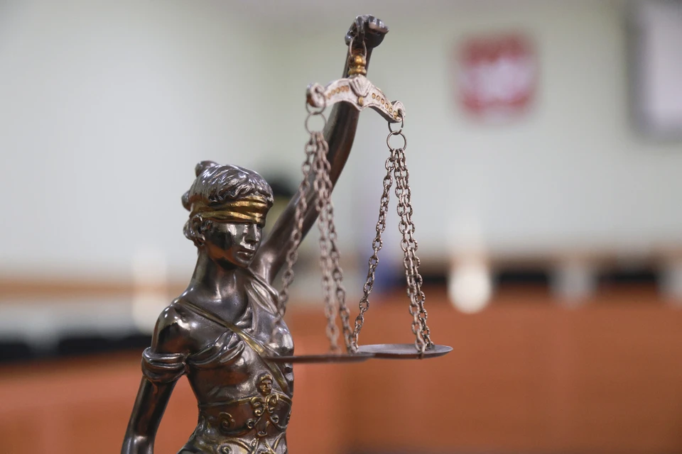 Готовятся документы для проведения судебных разбирательств