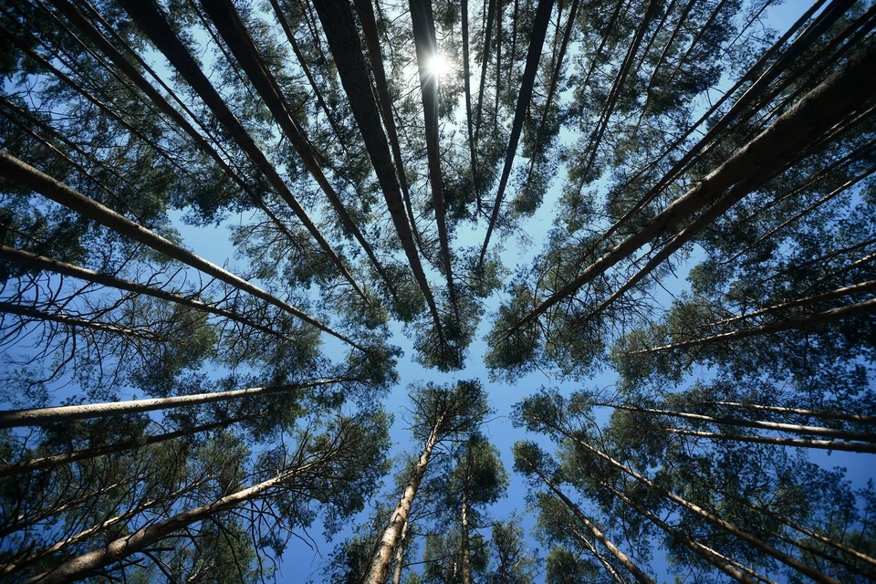 Финансово-хозяйственная деятельность компании прекращена