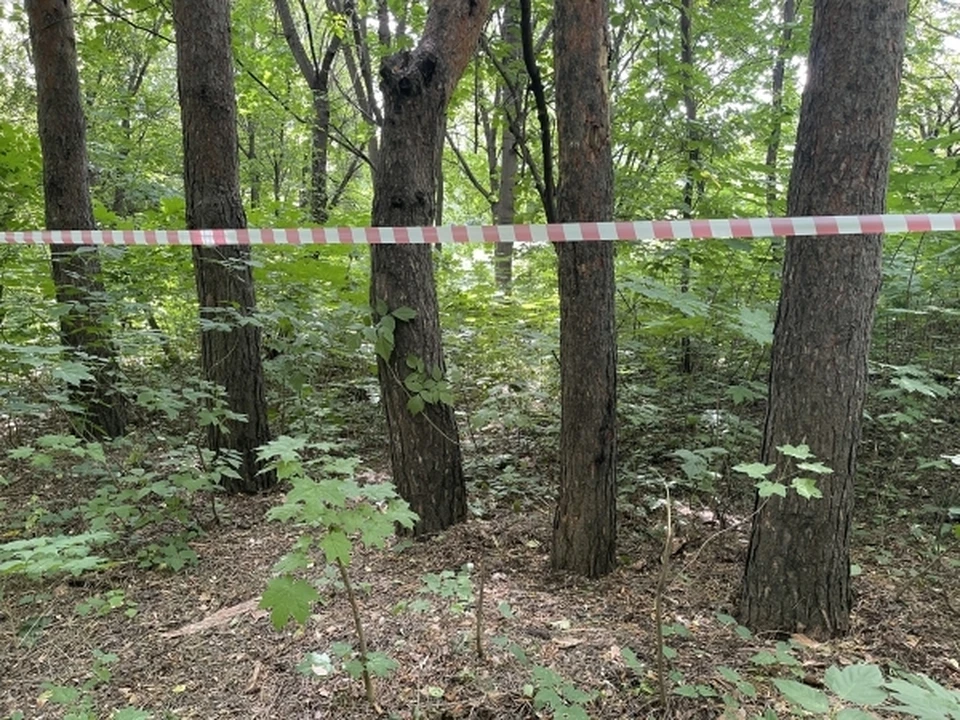 Карантин в деревне Сыртланово действовал два месяца с 16 апреля.