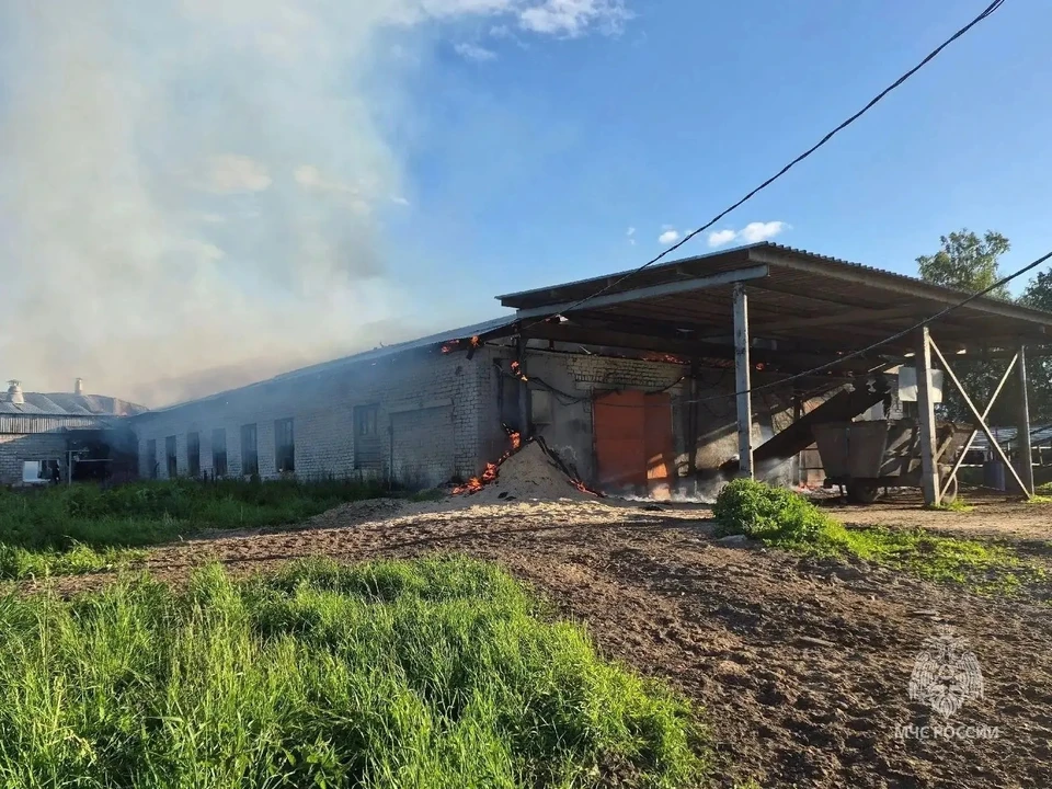 Нижегородским спасателям объявили благодарность за спасение 210 коров.