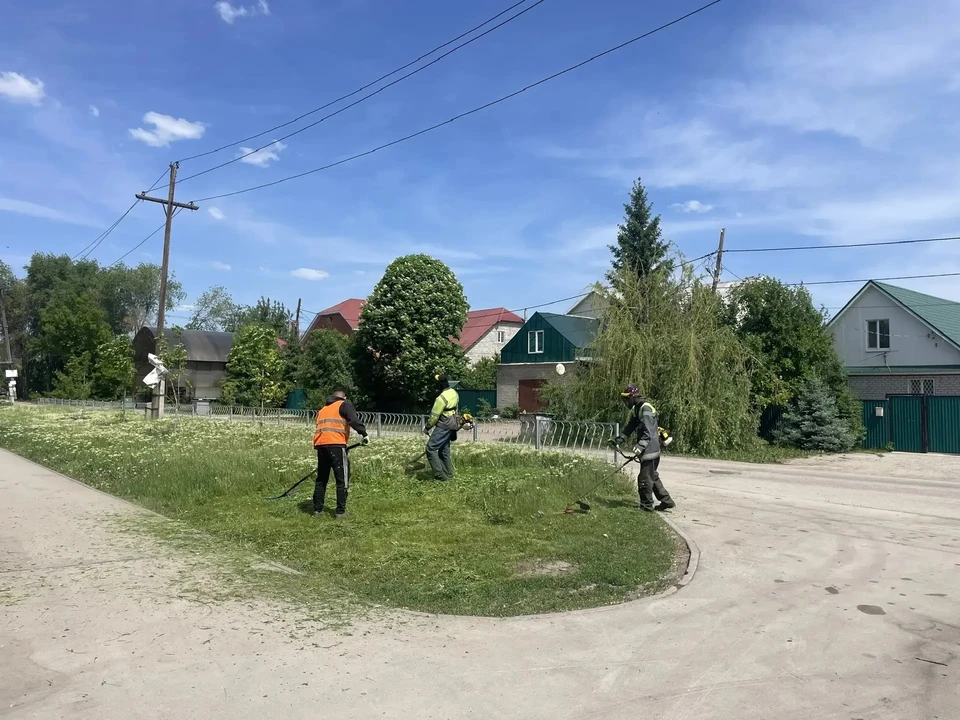 По первому циклу работы уже провели на территории 472,42 га.