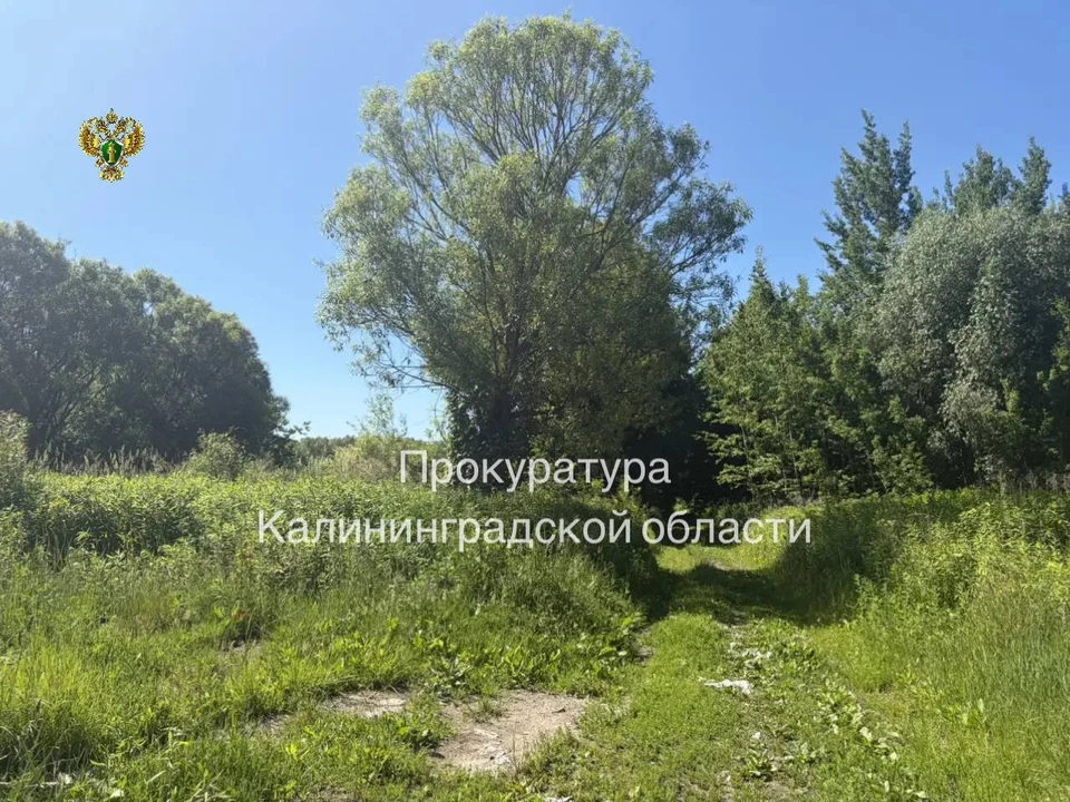 Территорию привели в порядок.