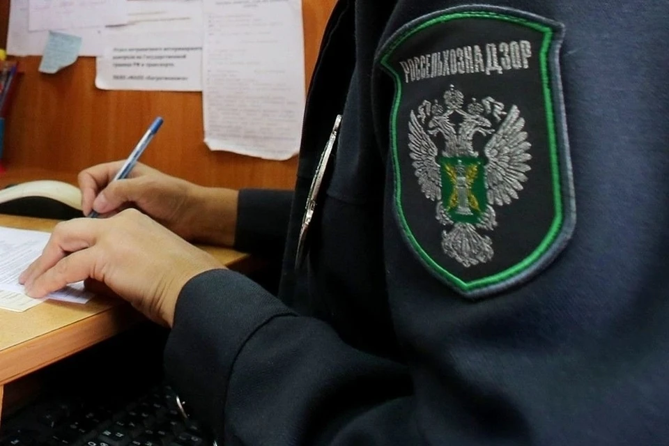 По факту нарушения правил работы в системе «Меркурий» тверскому предприятию направят предостережение. Фото: Россельхознадзор по Тверской и Ярославской областям.