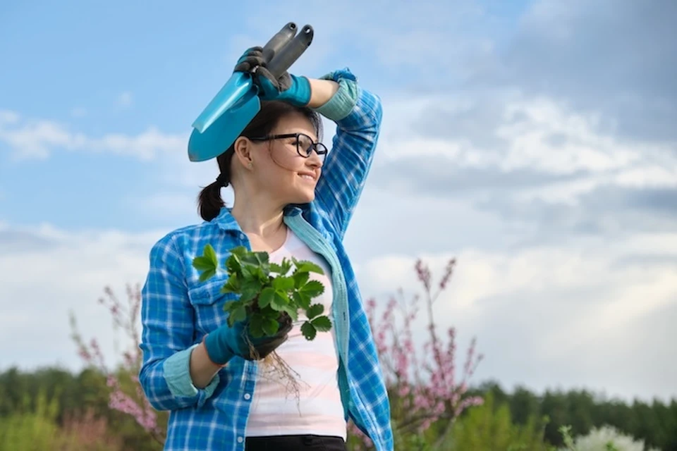 Эти растения прекрасны, но за ними нужен глаз да глаз! Фото: envato elements