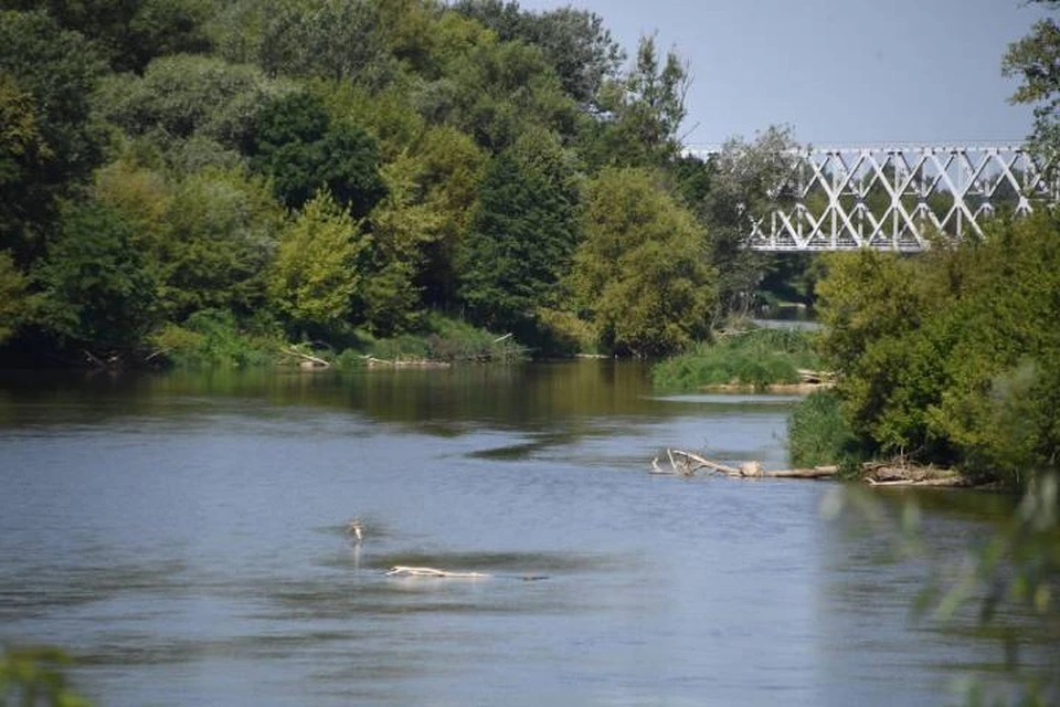 В Ростове в реке Темерник нашли тело школьника.