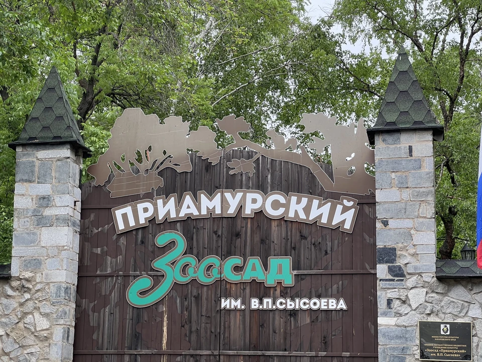 Фото: Таисия Субботина