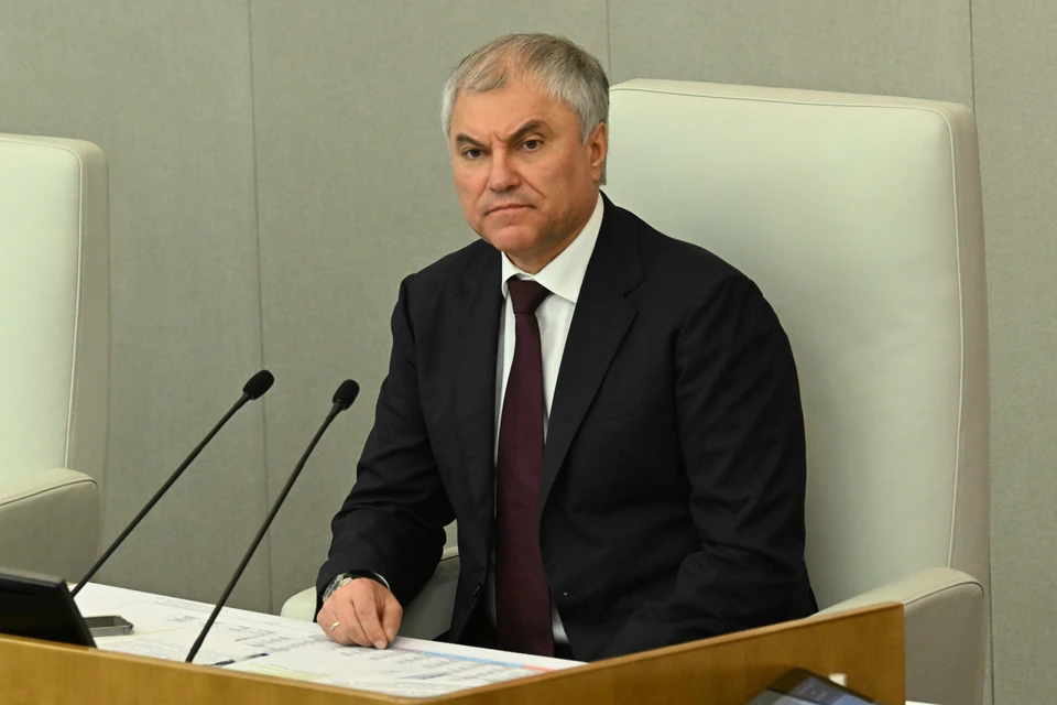 Председатель Госдумы Вячеслав Володин