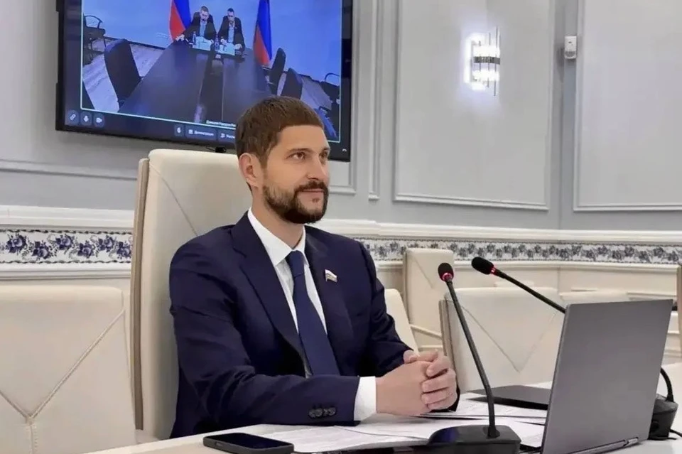 Сенатор провел рабочую встречу с представителями Палаты молодых законодателей от ДНР. Фото: ТГ/Волошин