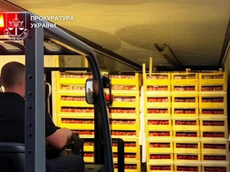 Наш дальнобойщик попалс на контрабанде сигарет на 300 тысяч евро. Фото: соцсети