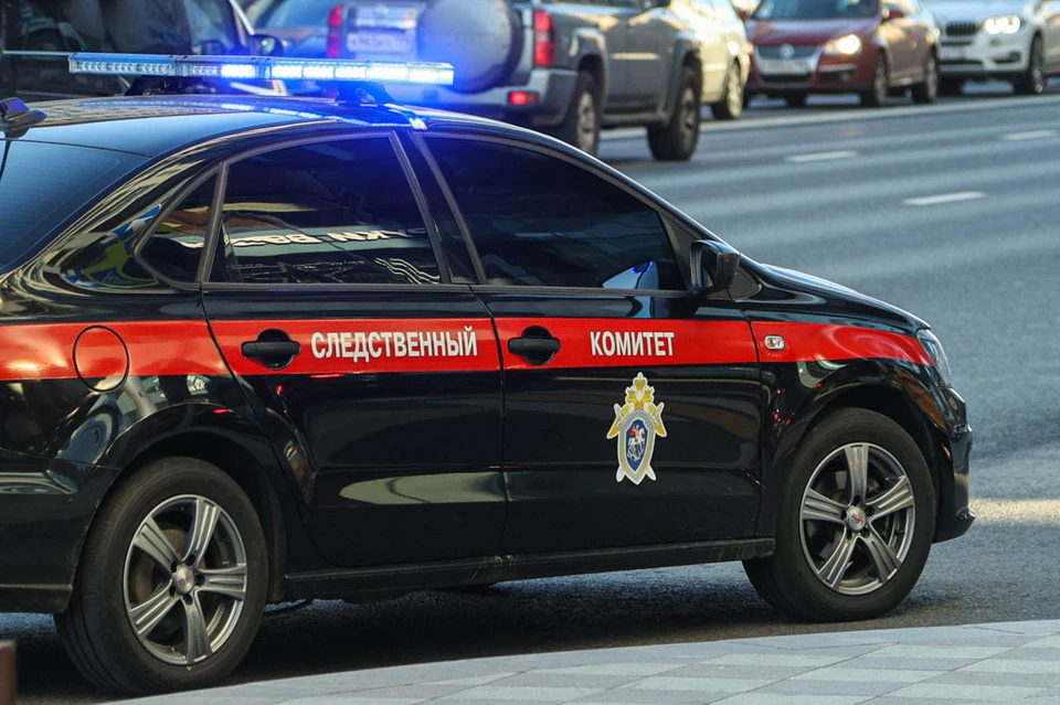 Шурыгиной изменили меру пресечения из-за использования телефона другого человека. Фото: Bulkin Sergey/news.ru/Global Look Press