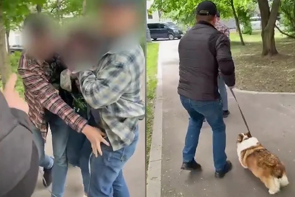 Вот девушка в яркой курточке прогуливает корги и в этот момент ее задерживают сотрудники спецслужб. Жалко в этой ситуации только собаку... Кадр из видео ЦОС ФСБ России