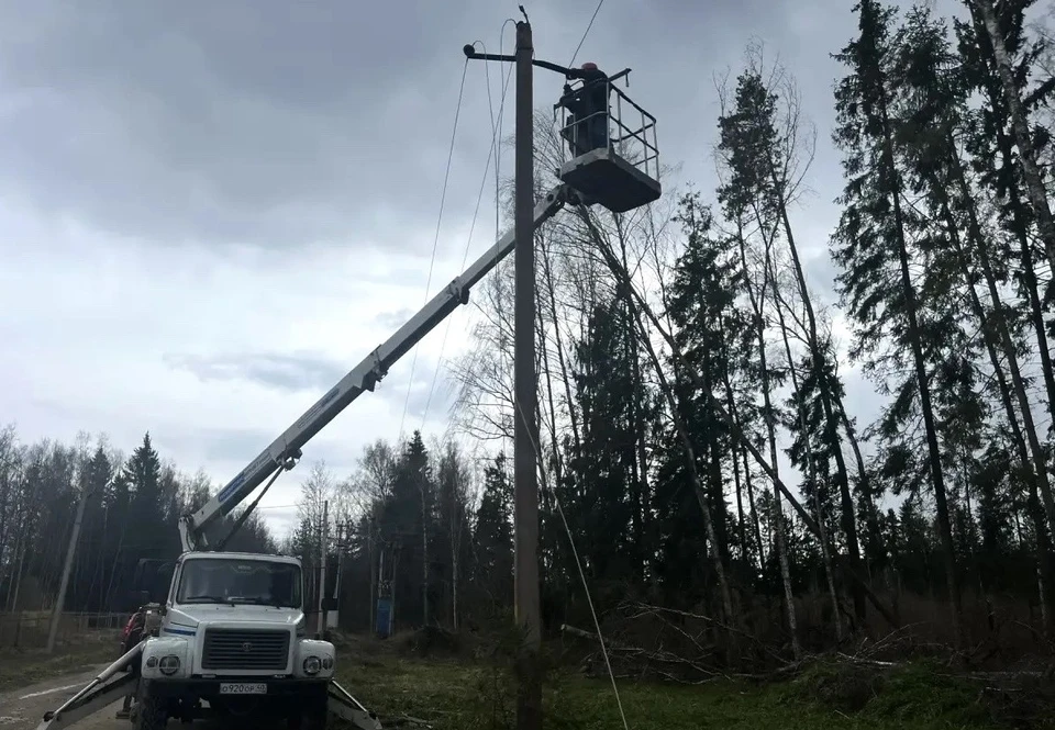 Фото: ПАО «Россети Центр и Приволжье».
