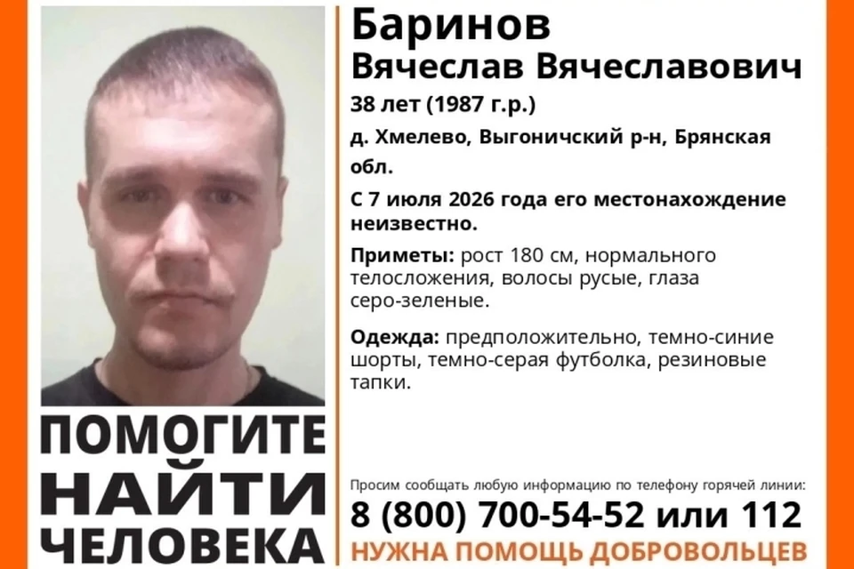Фото: поисковый отряд "Лиза Алерт", ВКонтакте.