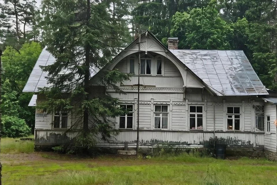 Следующий этап - государственная историко-культурная экспертиза. Фото: gov.spb.ru
